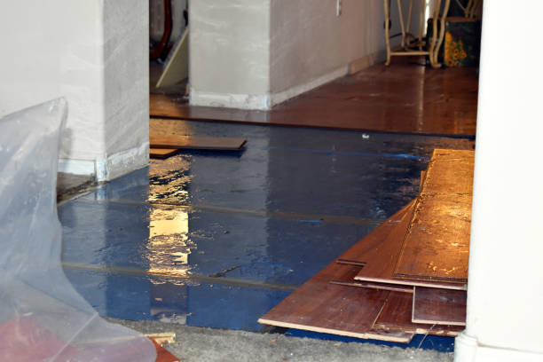 Professional Water Damage Restoration technician working in Olney, IL